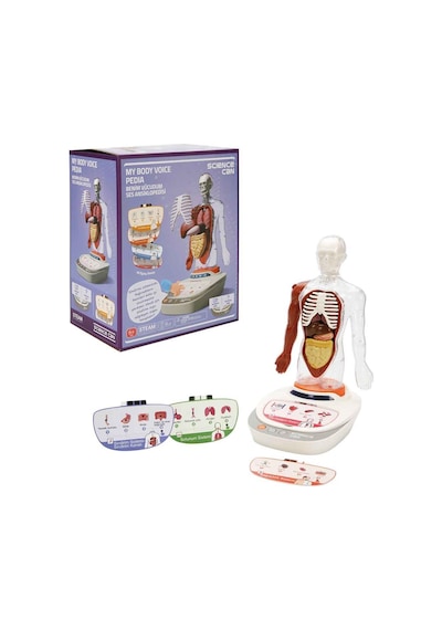 Sunman S00005280 Bilim Set İnsan Vücudu Modeli 23prç -sun