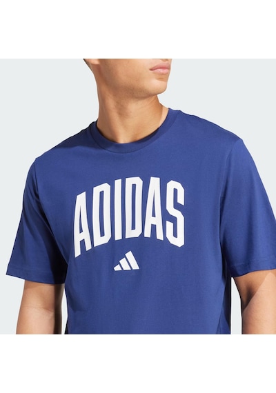 Adidas Collegiate Lineage Graphic Erkek Tişört C-adıjm6417e50a00 Lacivert