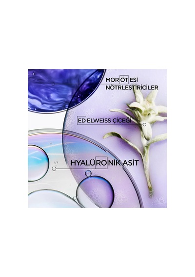 Blond Absolu Bain Ultra Violet 250 Ml/masque Ultra-violet 200 Ml Mor