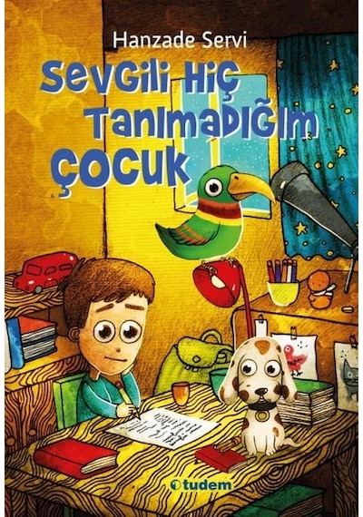 Sevgili Hiç Tanımadığım Çocuk - Hanzade Servi - Tudem Yayınları