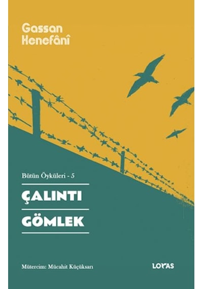 Çalıntı Gömlek Bütün Öyküleri -5