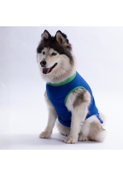 Mavi Happy Go Büyük Köpek Tişörtü - Köpek Kıyafeti 15 Kg-45 Kg