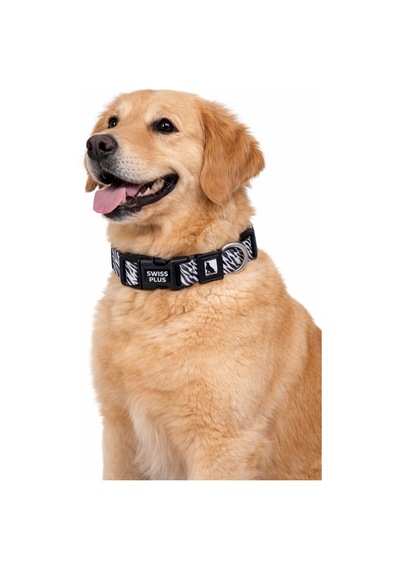 Swissplus Urban Paws Zebra Noir Recycled Köpek Tasması - 20 Mm Beyaz - Siyah