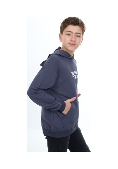 Toontoy Kids Toontoy Erkek Çocuk Nakışlı Sweatshirt Füme