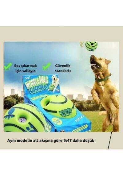 Raikou Köpek Topu İnteraktif Oyun Topu
