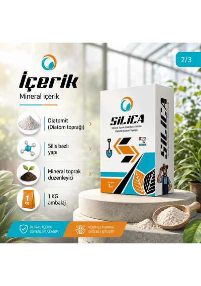 Silica Mikronize Toz Silisyum 1 Kg