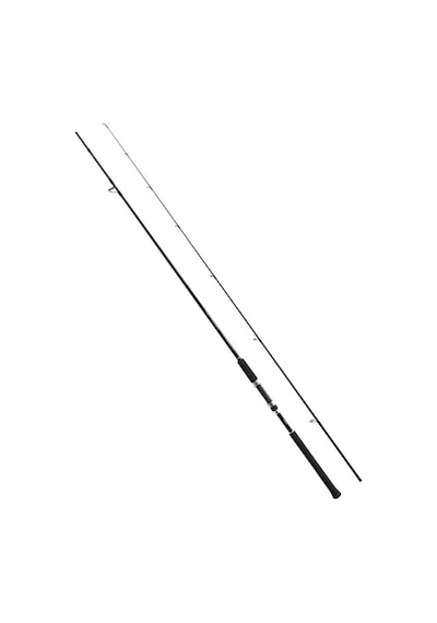 Shimano Salty Advance Spinning Sea Bass 2.90m 6-32gr Olta Kamışı