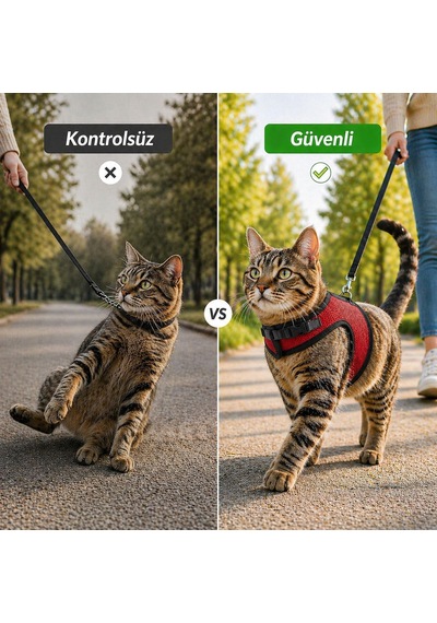 Kaçış Önleyici Kedi Gezdirme Tasması Ve Küçük Irk Köpek Gezdirme Tasması Kedi Göğüs Tasması Set Kırmızı
