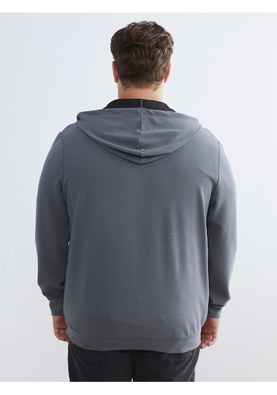 Lcwaıkıkı Classic Gri Standart Kalıp Kapüşonlu Erkek Fermuarlı Sweatshirt