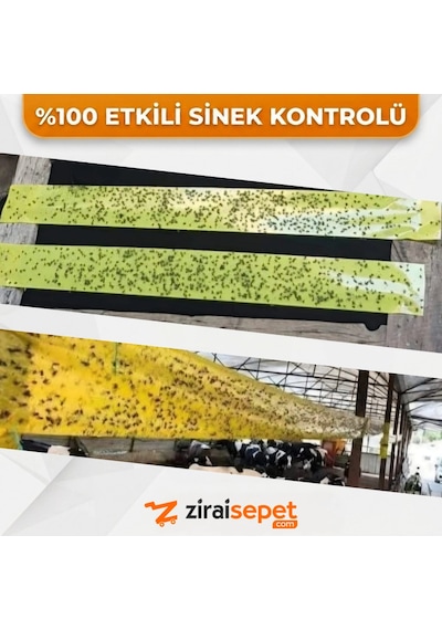 Sinek Yakalama Bandı 15x50 Metre