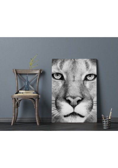 Bk Home Puma Tasarımlı Kanvas Tablo 70X100Cm-1