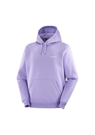 Salomon Salomon Logo Hoodıe M 51143 Çok Renkli