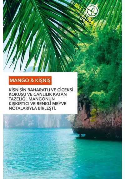 Konsantre Duş Jeli Mango & Kişniş 100 Ml - Ekolojik Doz Ayarlı Seyahat Boy Canlandırıcı Banyo Jeli Diğer