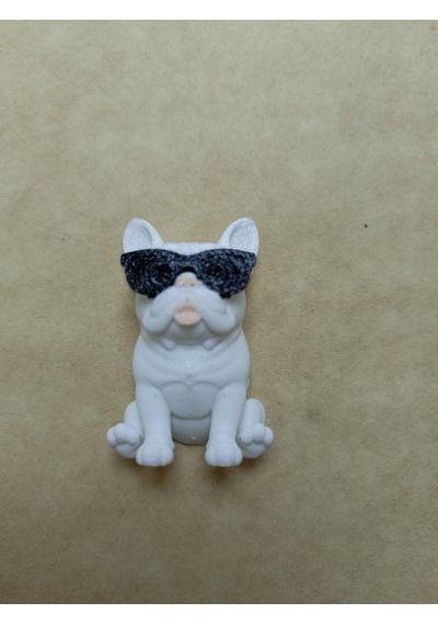 Gözlüklü - Beyaz Bulldog Magnet