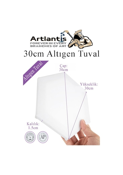 Altıgen Tuval 30 Cm 2 Adet Arkadan Zımbalı Astarlı Resim Tuvali Akrilik Boya Yağlı Boya Altıgen Şekil Tuval Ressam Sanat