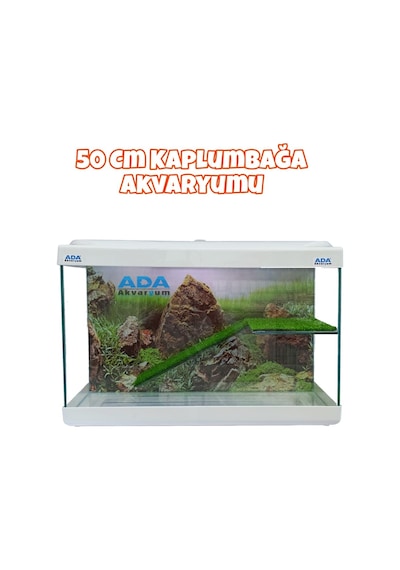 Ada Akvaryum Su Kaplumbağası Akvaryumu Bahçeli Rampalı Dinlenme 50x30x25 Cm Arka Plan Hediyeli