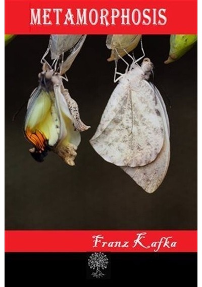 Metamorphosis - Franz Kafka - Platanus Publishing