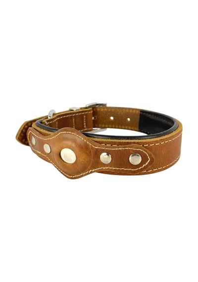 Canini Collar Hakiki Yağlı Deri Airtag Uyumlu Köpek Tasması Dayanıklı, Konforlu Ve Şık Tasarım, Airtag Böl Genel