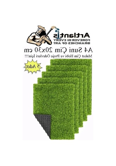 20x30 Cm A4 Boyutunda 5 Adet Yapay Çim Halı Seti 20beyazcipso