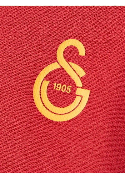 Gsstore Galatasaray Puma Çocuk Fermuarlı Kapüşonlu Sweatshirt 78291501 Kırmızı