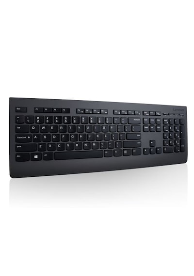 Lenovo 4x30h56872 Q Türkçe Kablosuz Professional Siyah Klavye