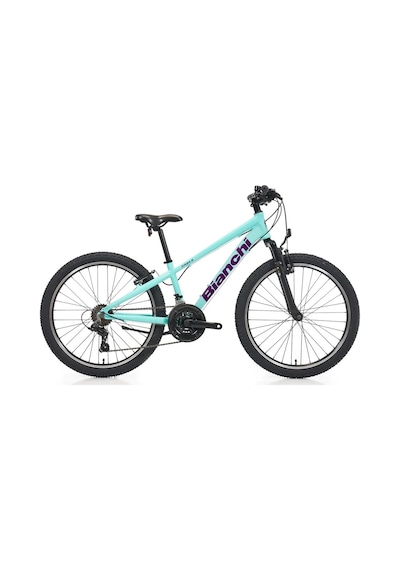 Bıanchı Xr24.2 Erkek Dağ Bisikleti 310h V 24 Jant 21 Vites Celeste Mor Çok Renkli
