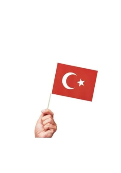 10 Adet Sopalı Kağıt Küçük Türk Bayrağı 19x23cm 1
