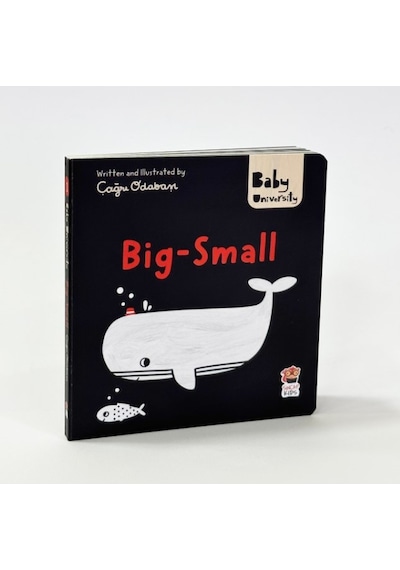 Sincap Kitap Big Small - Baby University First Concepts Stories