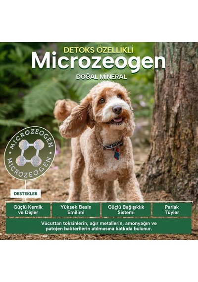 Superior Care Kızıl/kahverengi Tüylü Köpekler İçin Tahılsız Somonlu Küçük Irk Yavru Köpek Maması 1,5 Kg