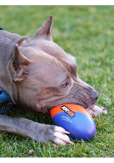 Joyser Active Rugby Köpek Oyuncağı Jys-7069