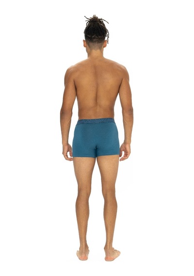 U.S. Polo Assn. U.s Polo Assn. 80543 Erkek Pamuklu 3'lü Boxer-lacivert&indigo&gri Lacivert&indigo&gri