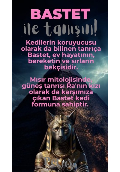 Petjoo 1.Bastet Gri-Pembe Qr'lı Kedi Künyesi