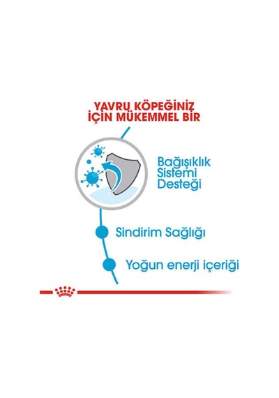 Tr Mstz Royal Canin Mini Puppy Küçük Irk Yavru Köpek Maması 4 Kg Zncm