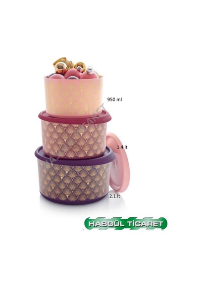 Tupperware Tek Parmak Parıltı Set Buzdolabı Saklama Kabı Hsgl
