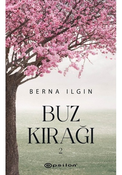 Seyirkitap Buz Kırağı 2