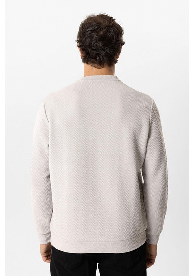 Backandbond Açık Gri Regular Fit Pamuklu Desenli Bisiklet Yaka Sweatshirt