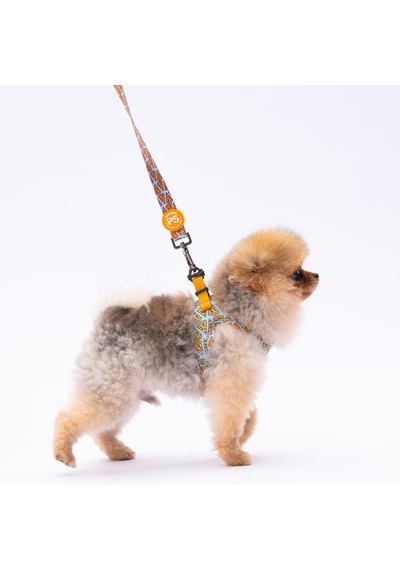 Pizza Leash Kedi Köpek Sevk & Gezdirme Kayışı Köpek Uzatma Tasması-1,5cm Turkuaz