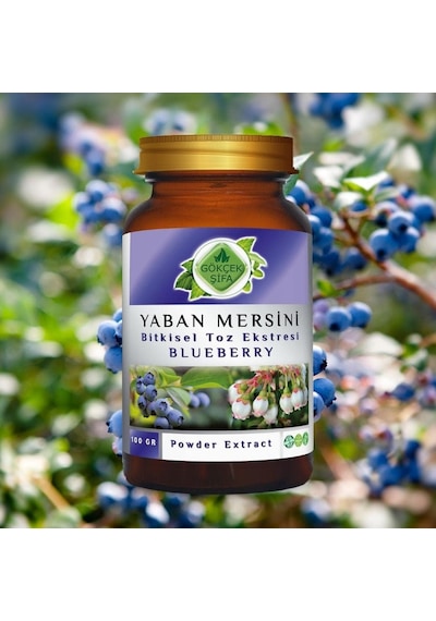 Gökçek Şifa Yaban Mersini Blueberry Toz Ekgerginliki 100 Gr Cam Kavanoz