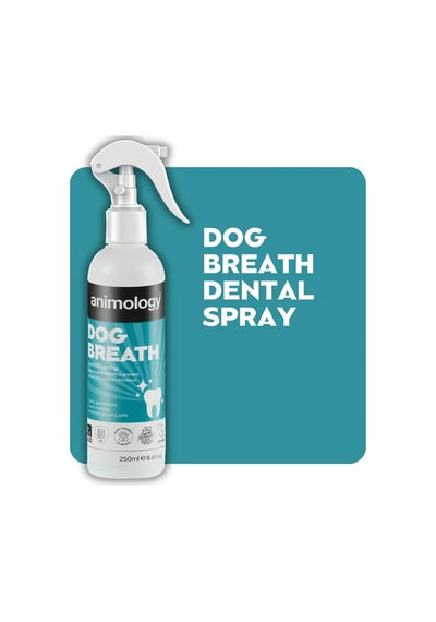 Dog Breath Köpekler İçin Ağız Ve Diş Bakım Suyu Sprey 250 Ml