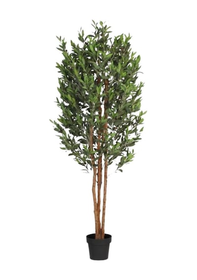 Yapay Zeytin Ağacı 200Cm 3 Gövdeli Doğal Gerçek Görünümlü Yapay A