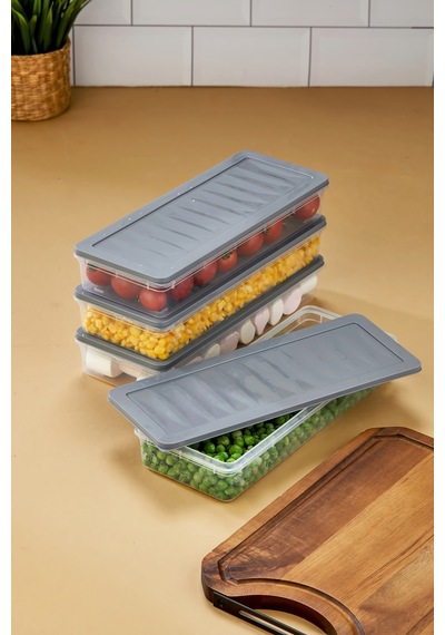 Multi Box 4 Lü Set Saklama Kabı Seti - Dondurucu & Mikrodalga Uyumlu Gri