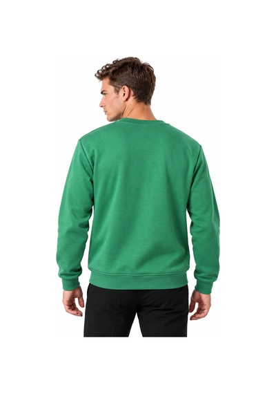 Hk Premium Sweatshirt Bisiklet Yaka Hk Premium Logolu Erkek Basic Yeşil