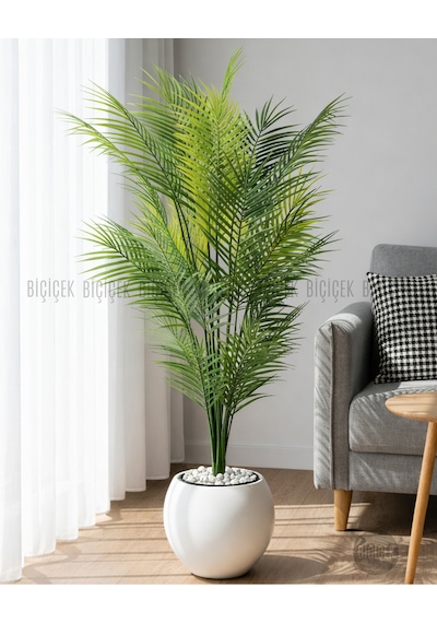 Biçiçek Areka Ağaci 24 Yapraklı 130 Cm Beyaz Küre Saksıda