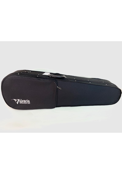 Valencia V40044mat 4/4 Profesyonel Keman Seti - Mat Cila Orta/il