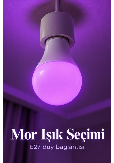 Tek Uzaktan Kumandalı Rgb Led Ampul 16 Renk Ayarlı Najmaddin 1