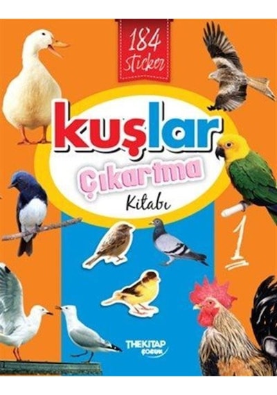 Kuşlar Çıkartma Kitabı 1 / Özge Nur Küskün
