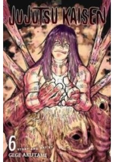 Jujutsu Kaisen 6 Vız Media Ciltli