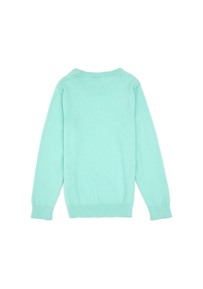 U.S. Polo Assn. Kız Çocuk Yeşil Bisiklet Yaka Basic Kazak 50316808-VR250