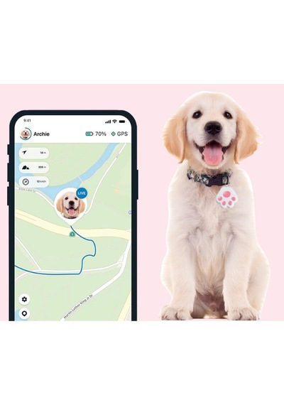 Mobil Uygulamalı Evcil Hayvan Takip Cihazı