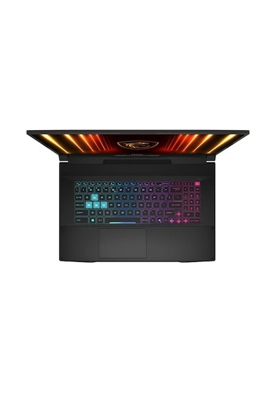 MSI Katana 17 HX B14WFK-248XTR-K23 i7-14650HX 16 GB 2 TB 8 GB RTX 5060 17.3" W11P Dizüstü Bilgisayar